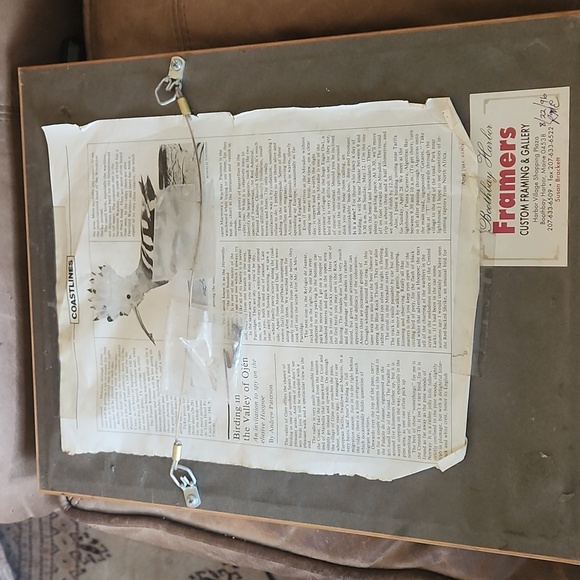 Rare Mid-19th Cent c.1853 London Hoopoe Bird Hand-Colored Engraving w Rare Frame - Picture 5 of 8